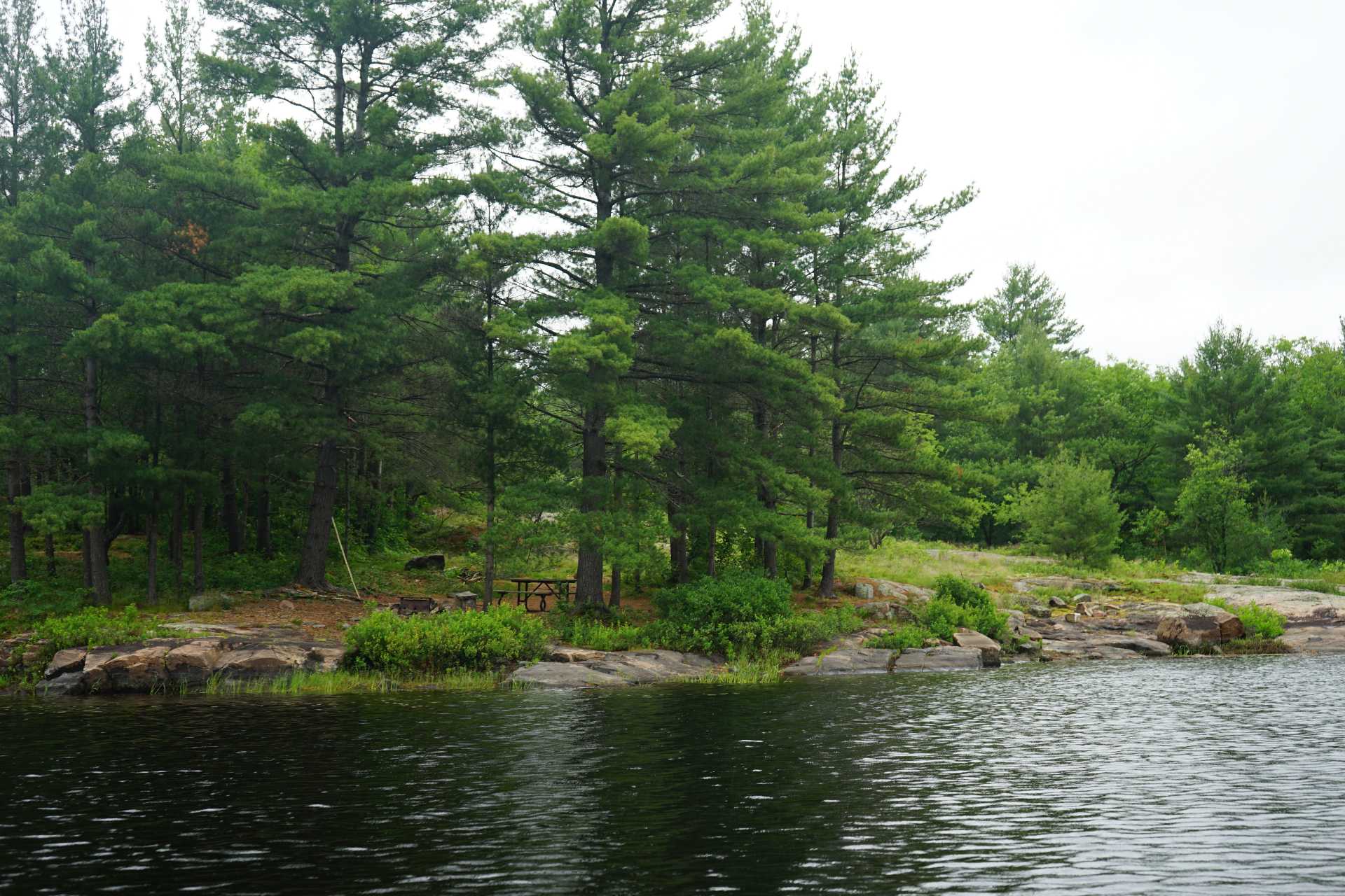 Serpentine Lake Campsite 226, Kawartha Highlands | CamperAid